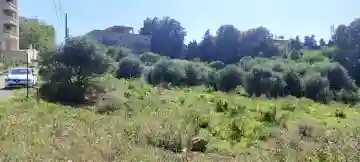 Vente Terrain Alger Souidania - Vue 2