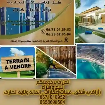 Cherche Achat Terrain El Taref El Kala - Vue 3