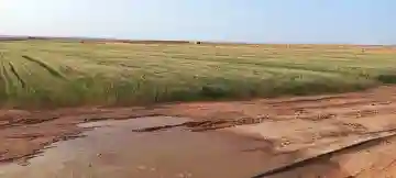 Vente Terrain Agricole Djelfa Djelfa - Vue 1