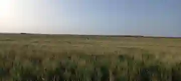 Vente Terrain Agricole Djelfa Djelfa - Vue 13