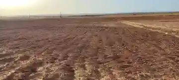 Vente Terrain Agricole Djelfa Djelfa - Vue 17