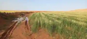 Vente Terrain Agricole Djelfa Djelfa - Vue 3