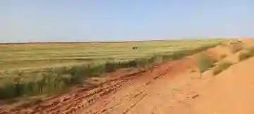 Vente Terrain Agricole Djelfa Djelfa - Vue 6
