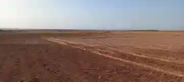 Vente Terrain Agricole Djelfa Djelfa - Vue 7