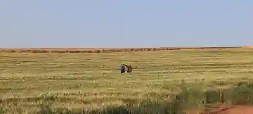 Vente Terrain Agricole Djelfa Djelfa - Vue 8