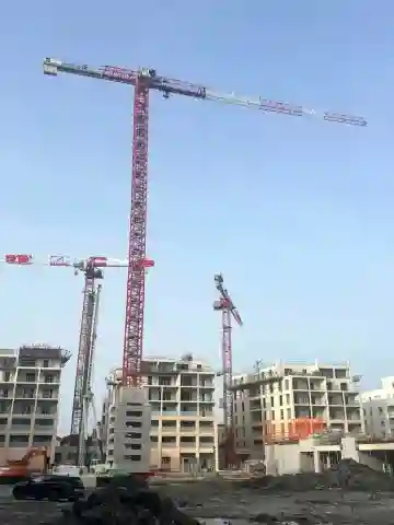 Stafford (Ex Soima) Grue A Tour رافعة برجية - Vue 12