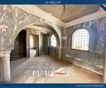 Location Villa Alger Hydra - Vue 11