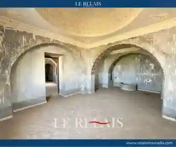 Location Villa Alger Hydra - Vue 4