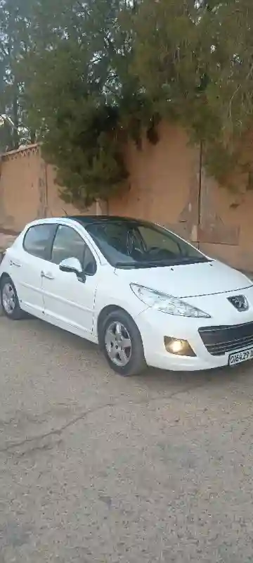 Peugeot 207 2013 207 - Vue 1