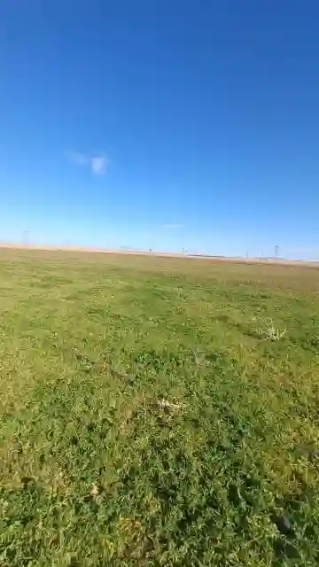 Vente Terrain Agricole Djelfa Ain Oussara - Vue 1