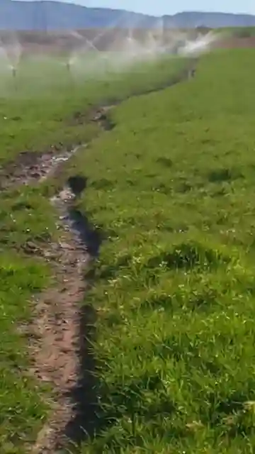 Vente Terrain Agricole Djelfa Ain Oussara - Vue 11