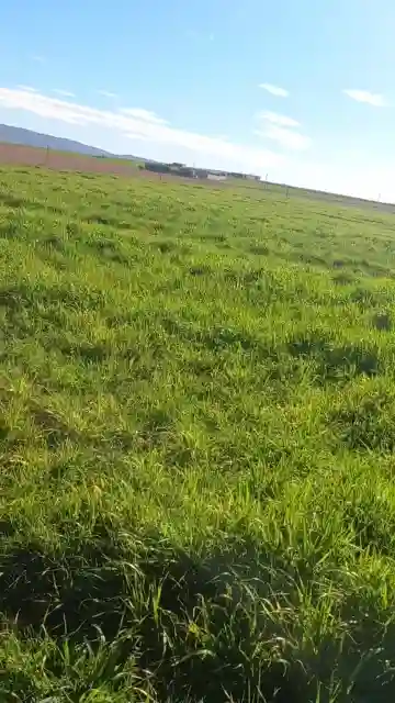 Vente Terrain Agricole Djelfa Ain Oussara - Vue 12