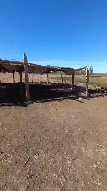 Vente Terrain Agricole Djelfa Ain Oussara - Vue 15