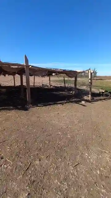 Vente Terrain Agricole Djelfa Ain Oussara - Vue 3