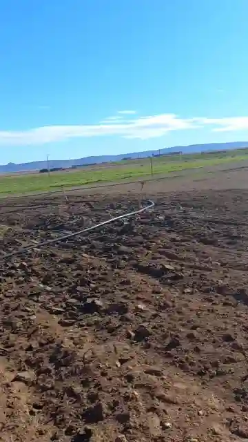 Vente Terrain Agricole Djelfa Ain Oussara - Vue 6