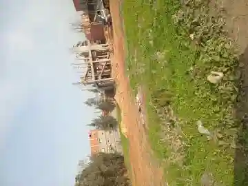 Vente Terrain Tipaza Fouka - Vue 9