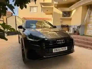 Audi Q8 2019 S-line 50 TDI - Vue 14