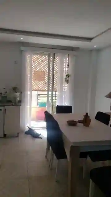 Vente Appartement F4 Alger Souidania - Vue 10