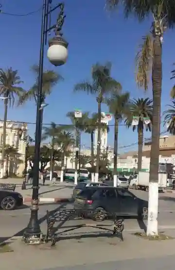 Vente Terrain Alger Rouiba - Vue 7