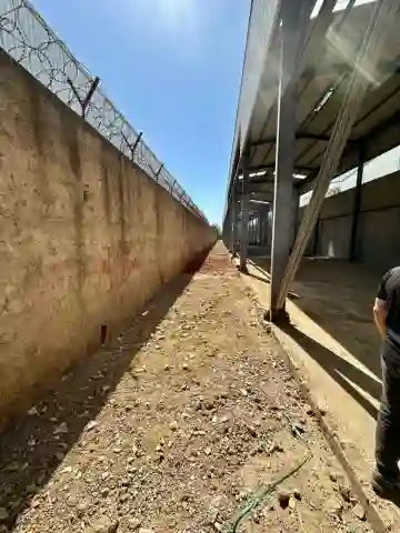 Location Hangar Blida Ouled El Alleug