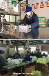 Importer du thé Vert Chinois Sur-mesure de l